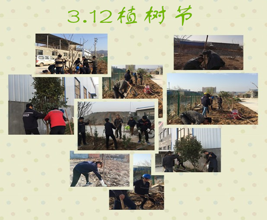 寶雞捷銳“迎春風(fēng)，綠家園”植樹節(jié)(圖3)